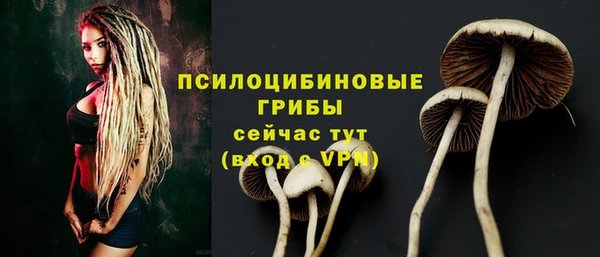 гашиш Белокуриха