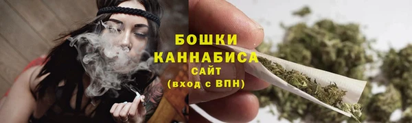 гашик Белоозёрский
