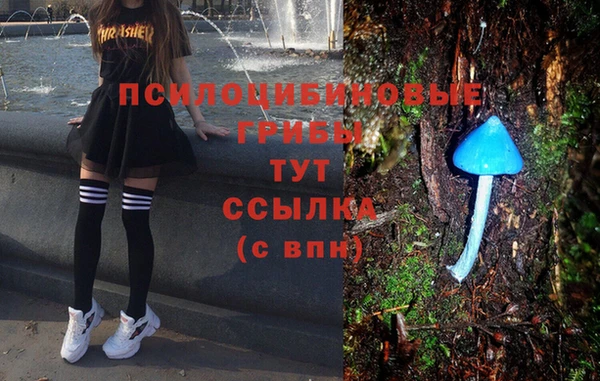 гашик Белоозёрский